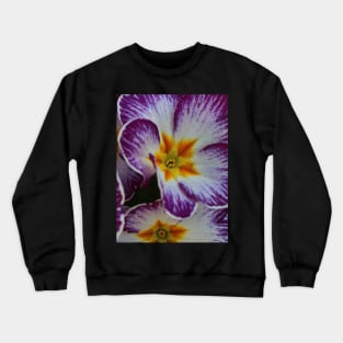 Primula  yellow violett Crewneck Sweatshirt